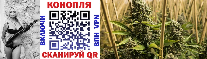 Каннабис VHQ  блэк спрут ссылка  Южно-Сахалинск 